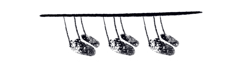Illustration of bird feet